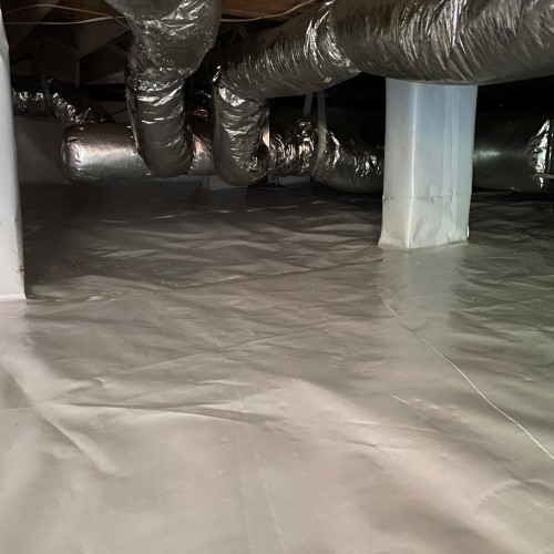 Professional crawl space solutions
